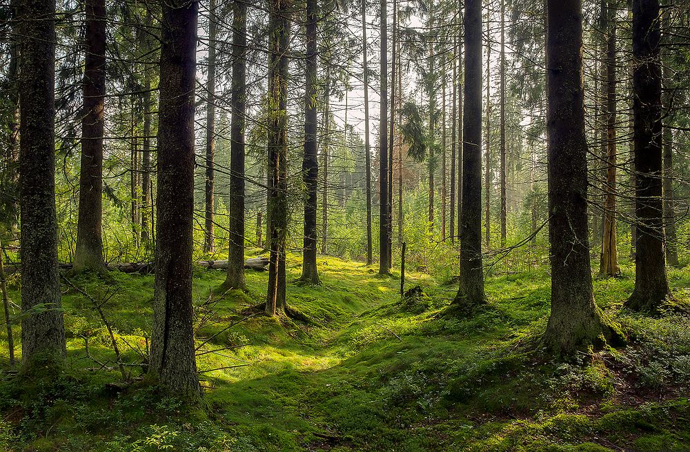Piątek 24.04.2020 r.
